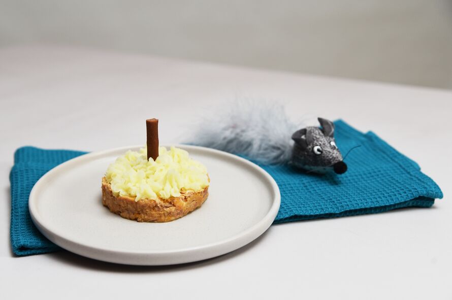 Small patty with mash potato icing and a cat treat stick for a candle on a plate