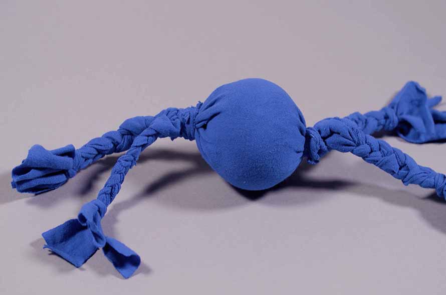 Finished dog toy