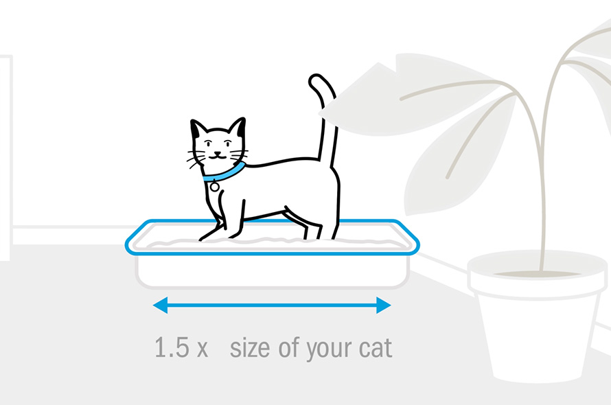 Illustration of a cat standing in a litter tray