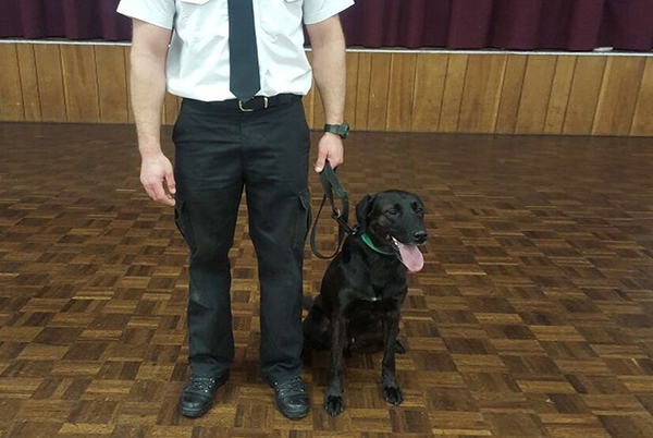 Raff the black dog sitting next to police officer
