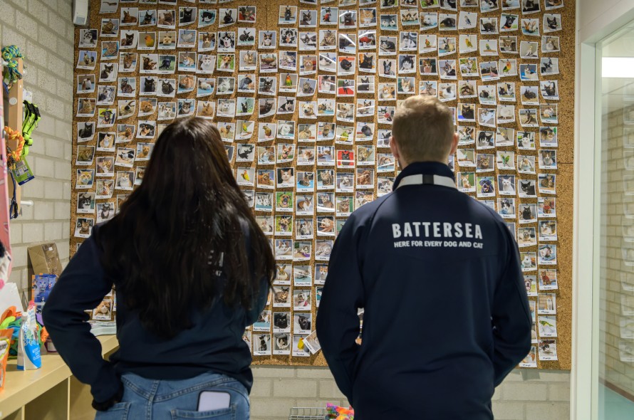 Staff Looking at Photos