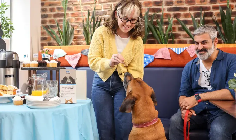 A person giving a dog a treat