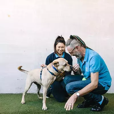 How to approach a dog 