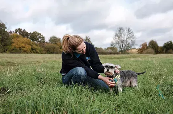 Caring for your pet when you're gone
