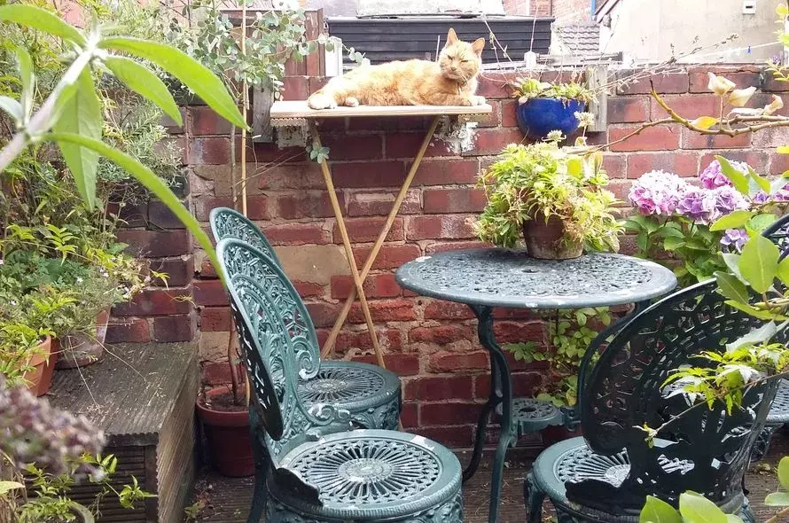 Places to get up high